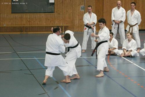 Lehrgang mit Sensei Pino Arcieri 2008 in Birkenfeld (23)