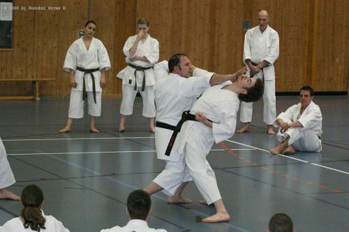 Lehrgang mit Sensei Pino Arcieri 2008 in Birkenfeld (38)