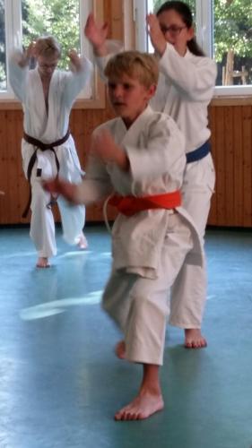 Karatefreizeit_2018_Training (10)