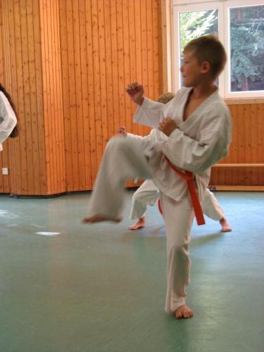 Karatefreizeit_2018_Training (41)