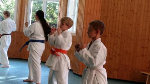 Karatefreizeit_2018_Training (6)